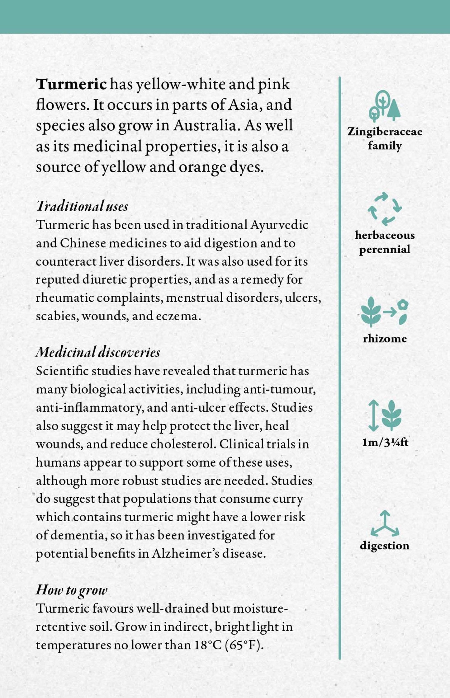A Cabinet Full of Medicinal Plants Card Deck