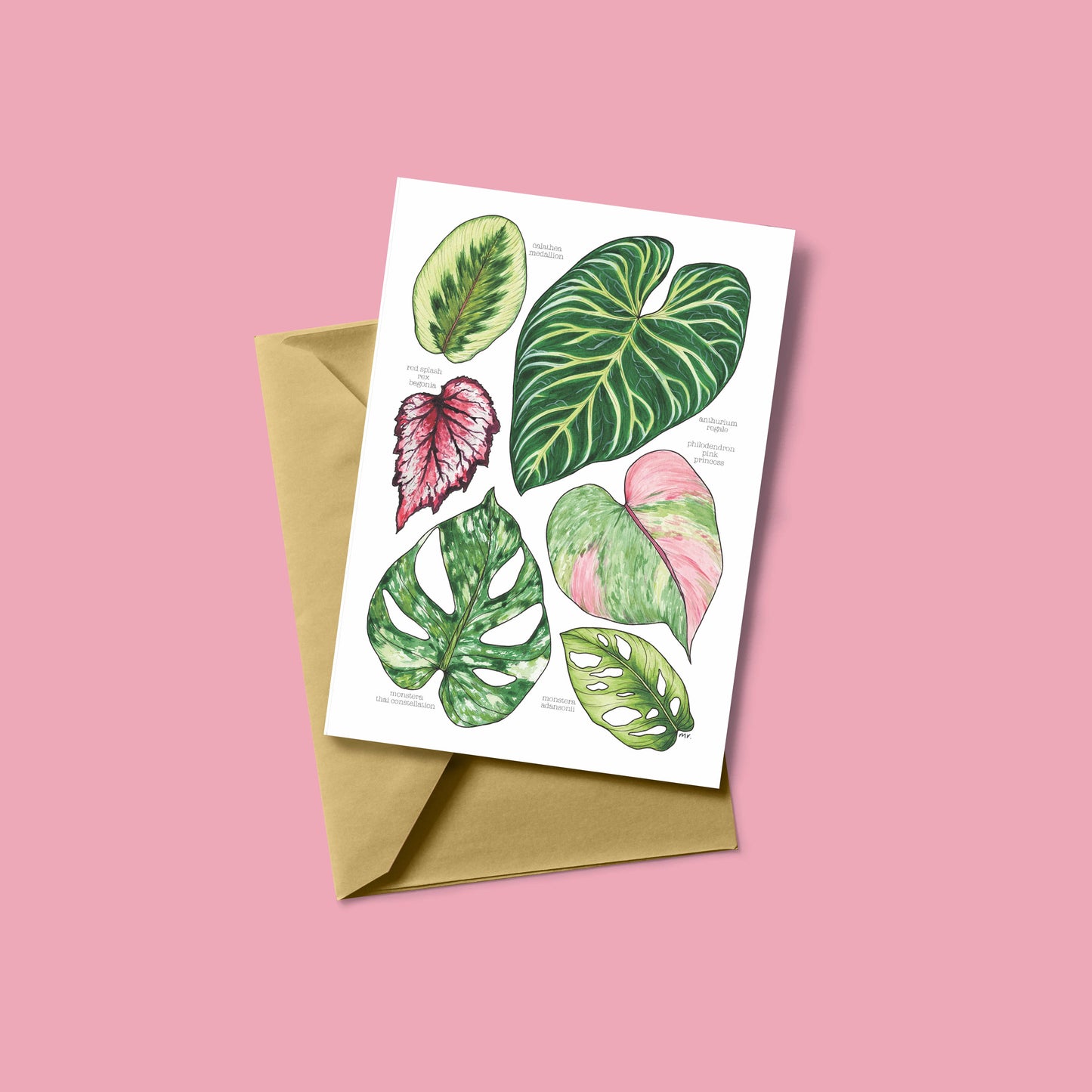 Tropical Leaves Greeting Card