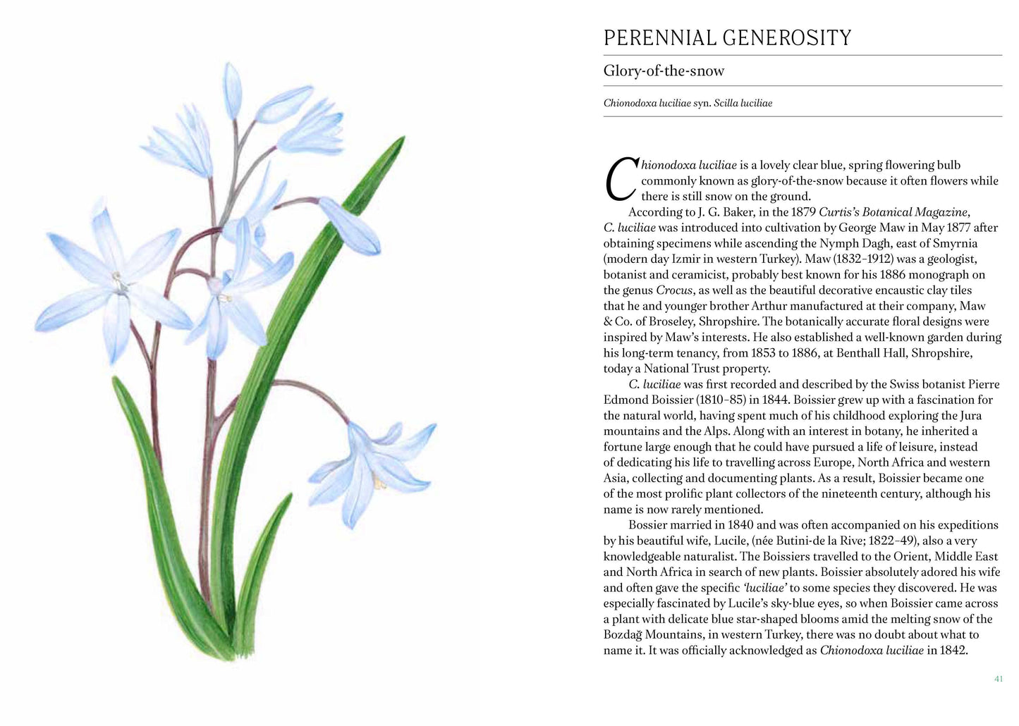 A Short History Of Flowers