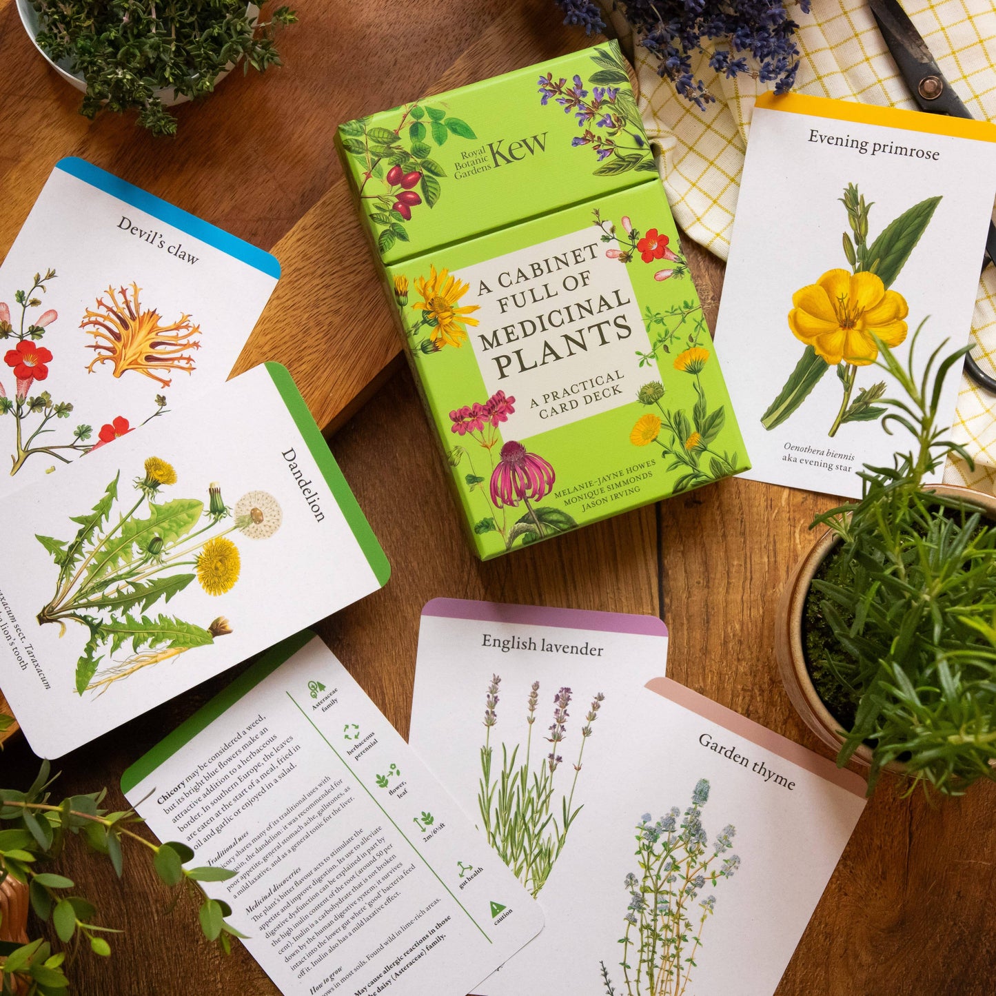 A Cabinet Full of Medicinal Plants Card Deck