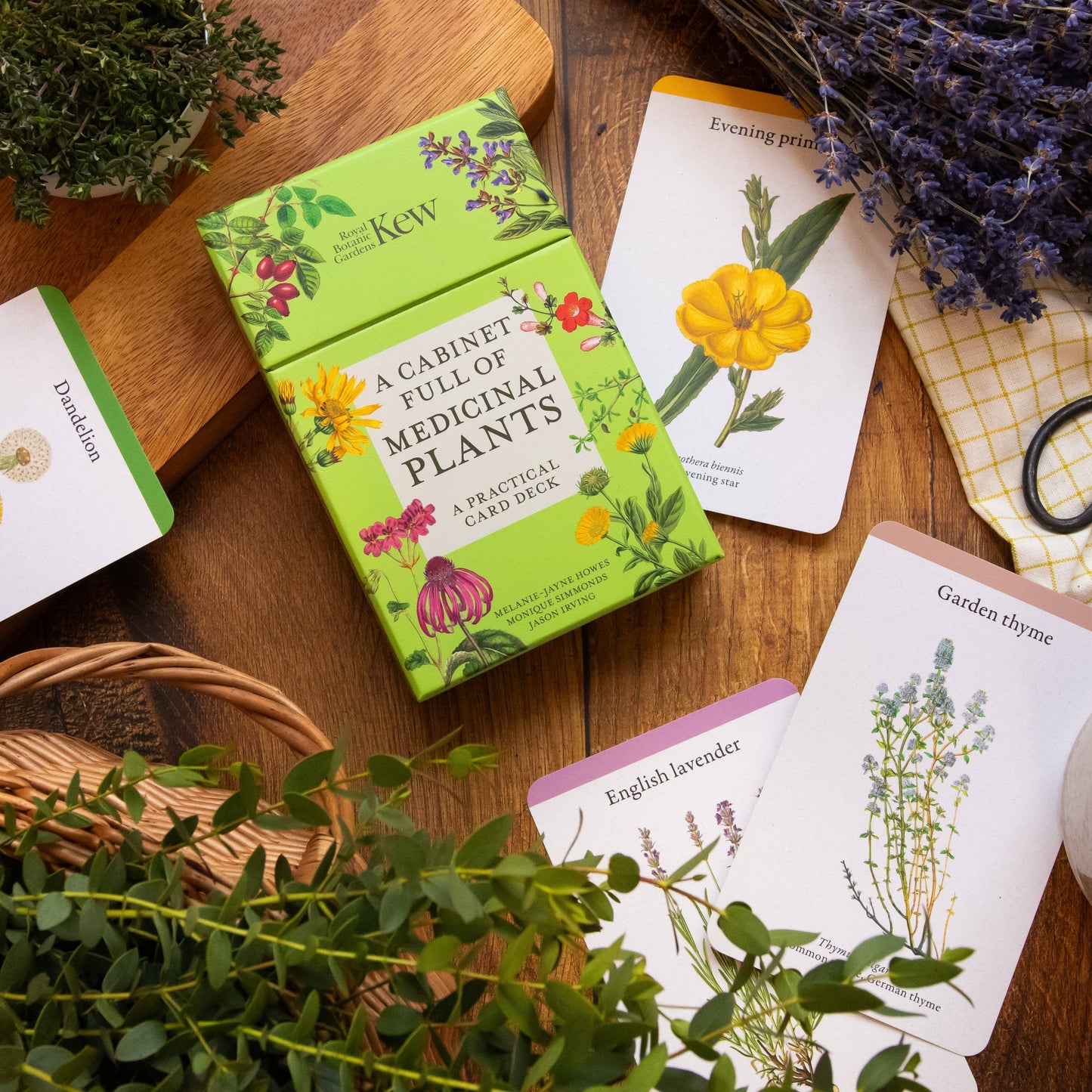 A Cabinet Full of Medicinal Plants Card Deck