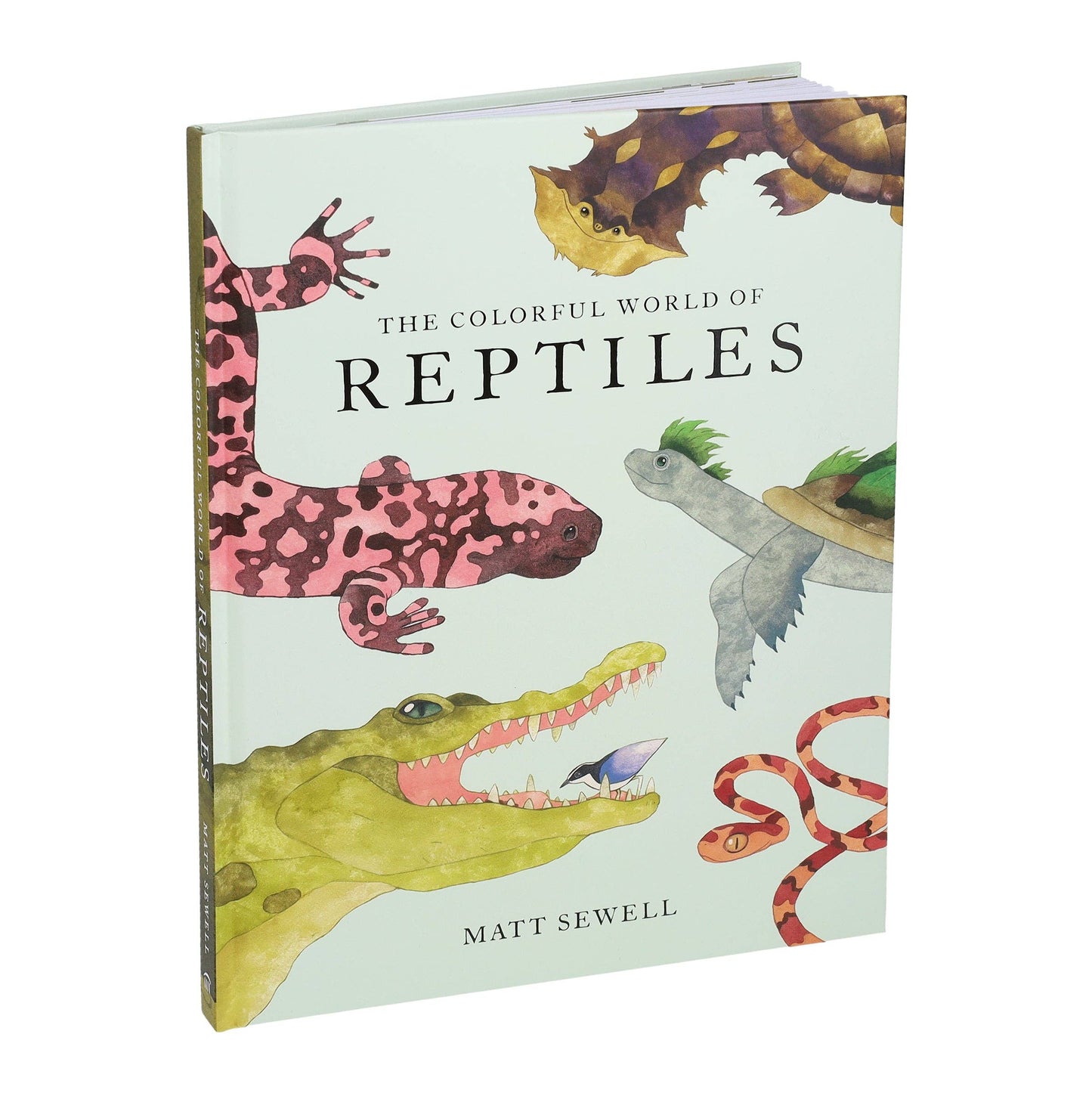 The Colorful World of Reptiles (Hardback)
