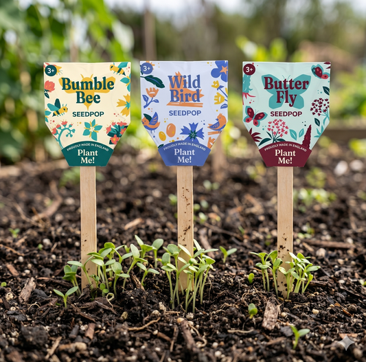 Wildflower Seedpop: Bee Friendly