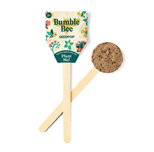 Wildflower Seedpop: Bee Friendly