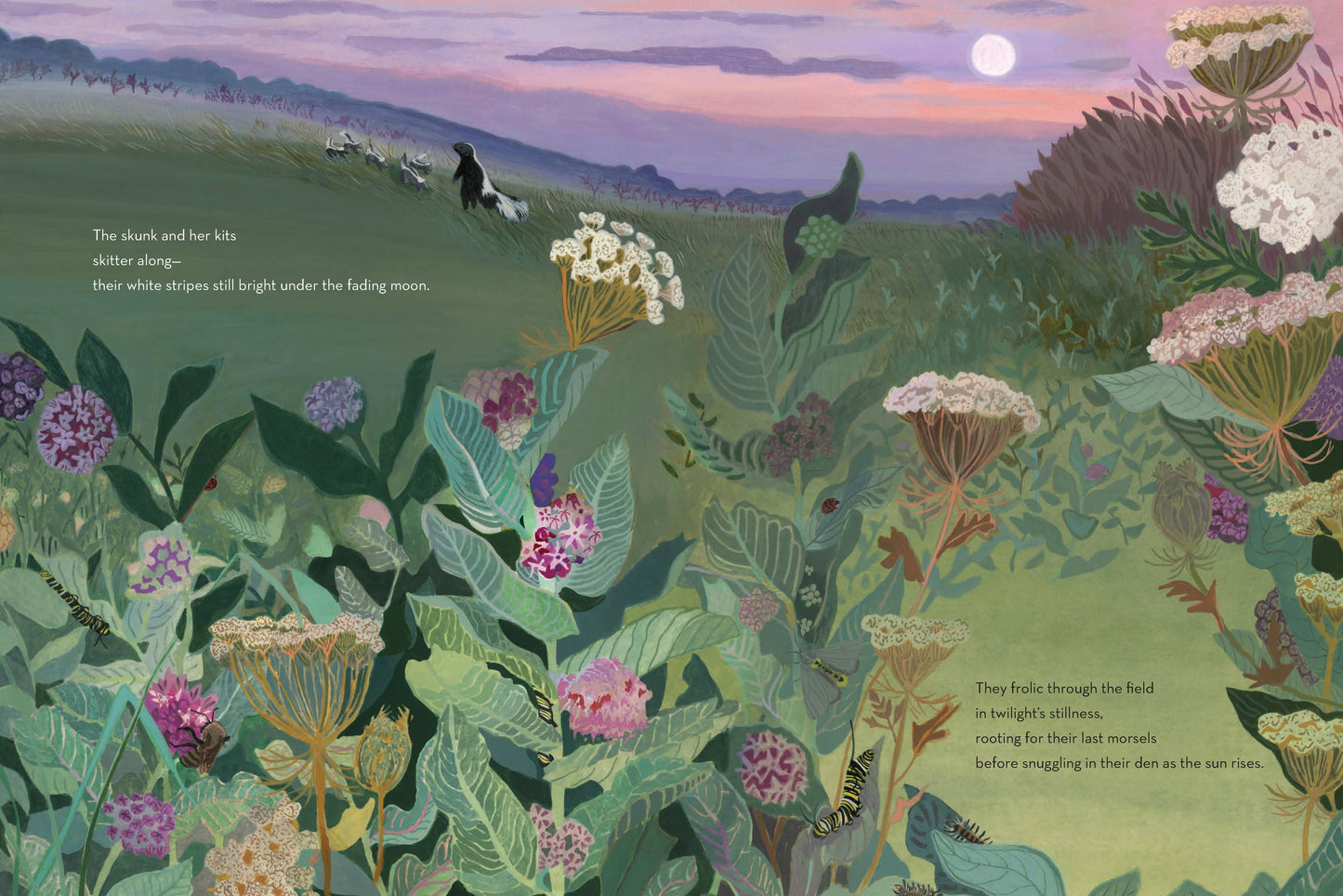 When Twilight Comes - The Animals and Plants That Bring Dawn and Dusk to Life (Hardback)