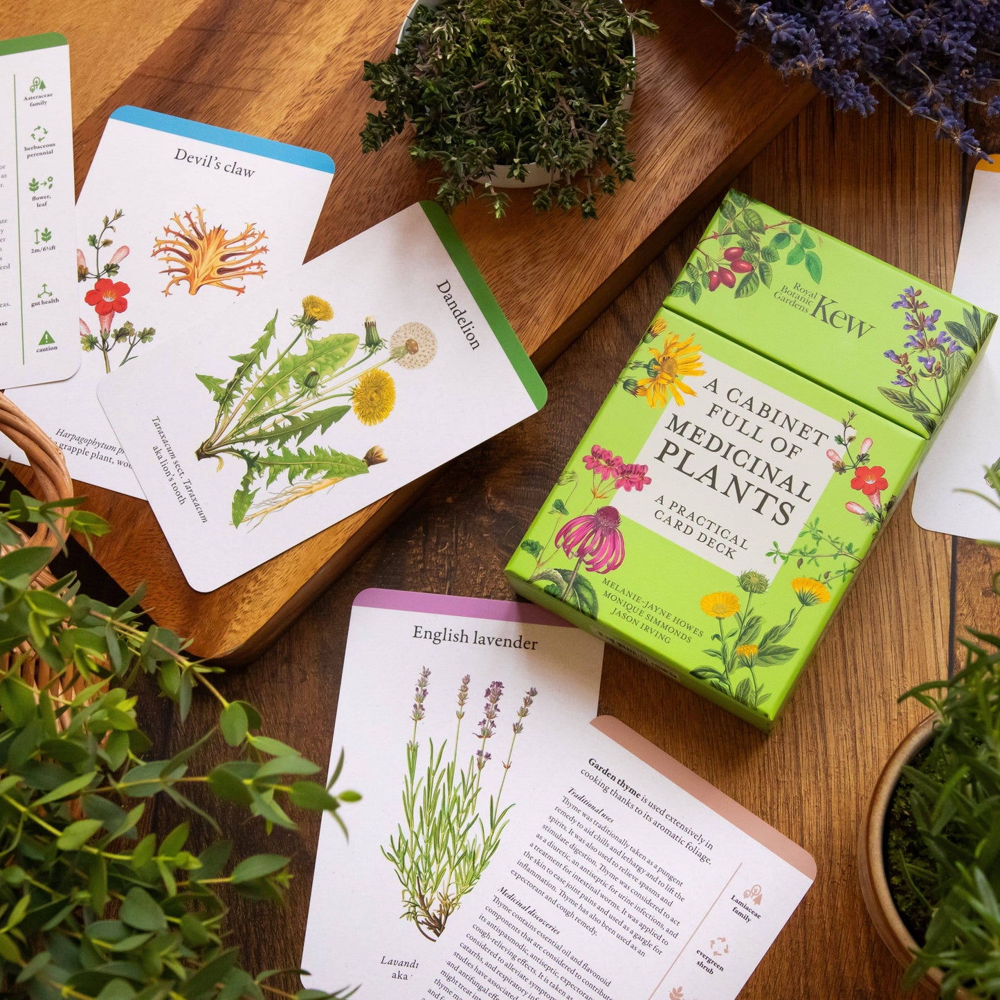 A Cabinet Full of Medicinal Plants Card Deck