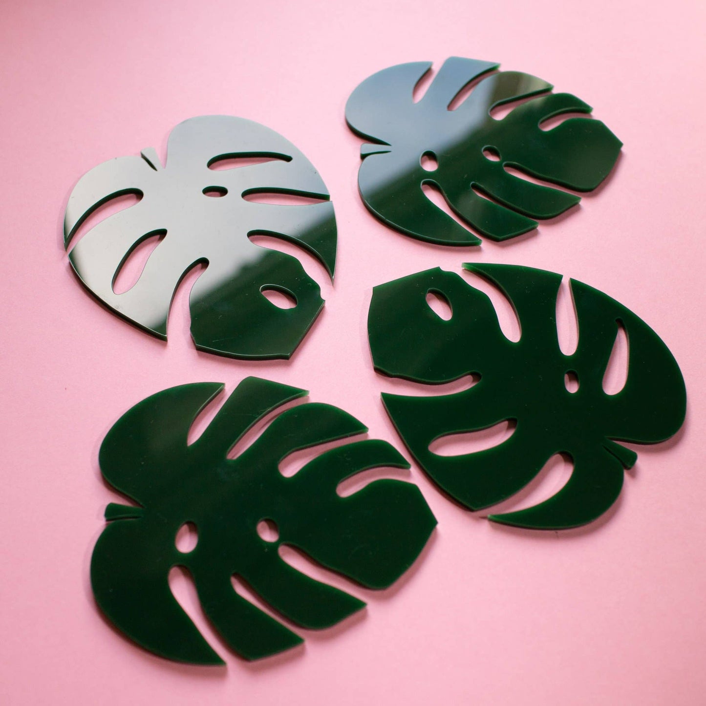 Cheese Plant Leaf Coaster