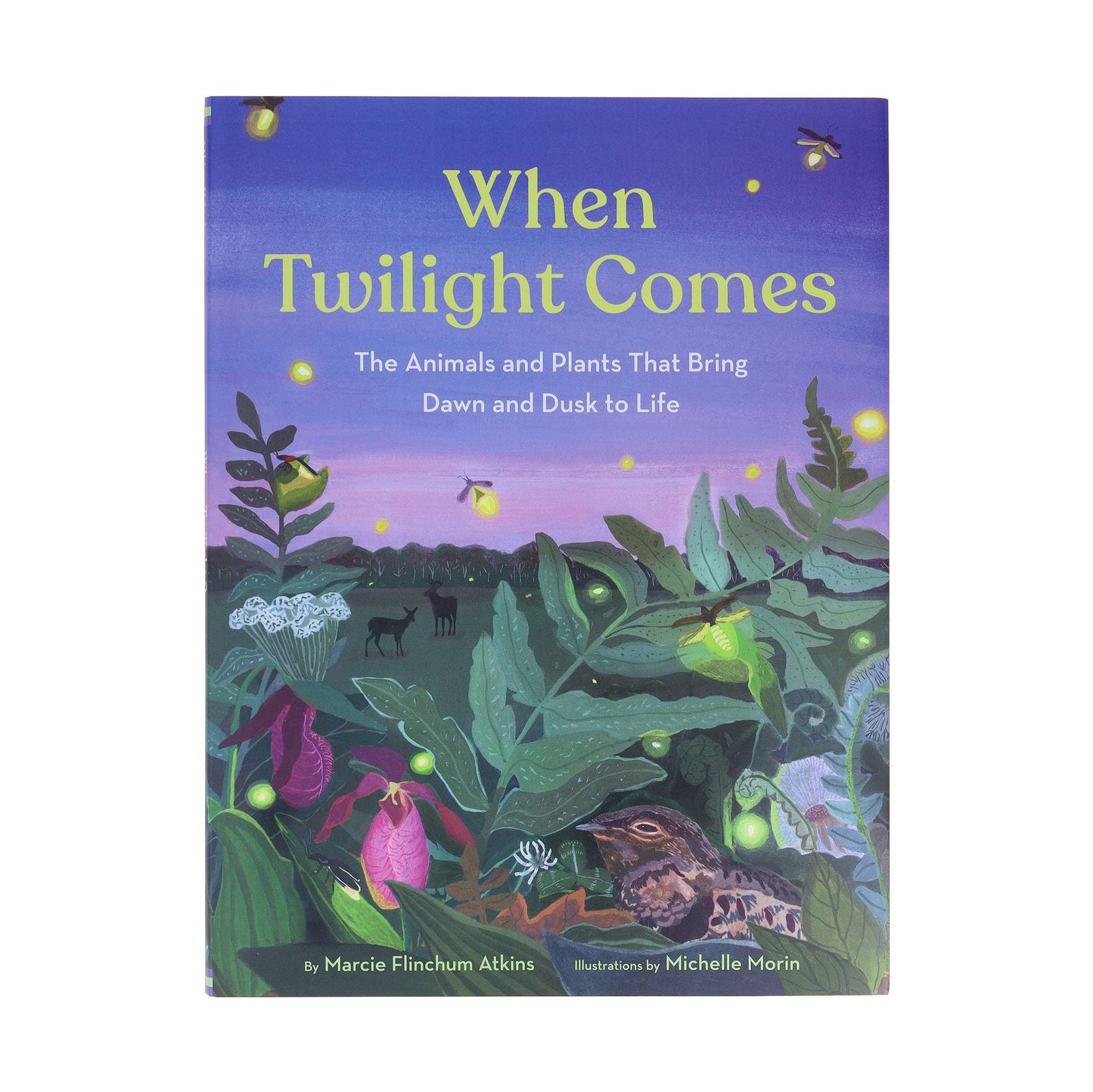 When Twilight Comes - The Animals and Plants That Bring Dawn and Dusk to Life (Hardback)