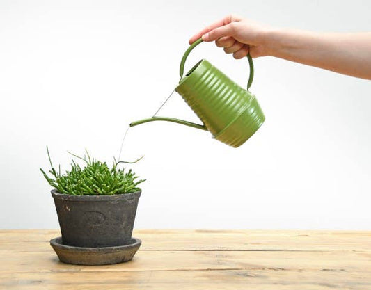 Green Indoor Watering Can