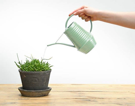 Green Indoor Watering Can