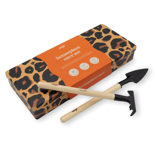 House Plant Care Kit